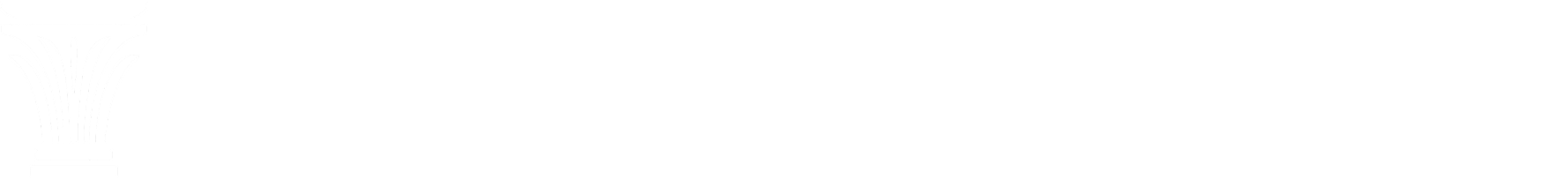 n_nm_logo_bar